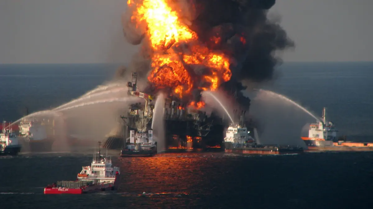 Екосистема Мексиканської затоки не оговталася після аварії Deepwater Horizon