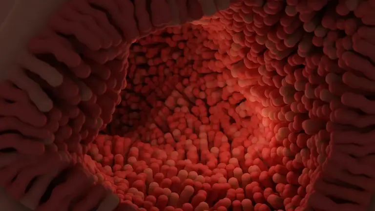 Intero Biosystems розробляє мінікишківник для тестування ліків Intero Biosystems розробляє мінікишківник для тестування ліків