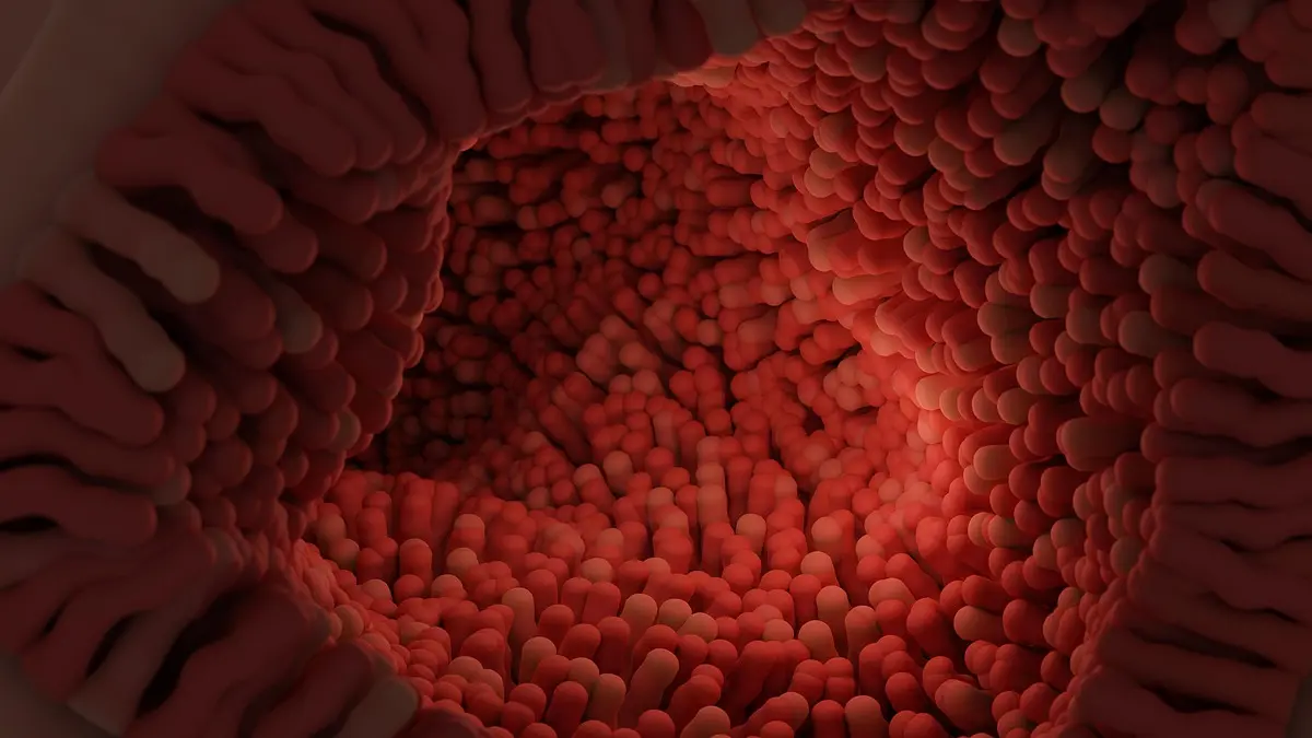 Intero Biosystems розробляє мінікишківник для тестування ліків