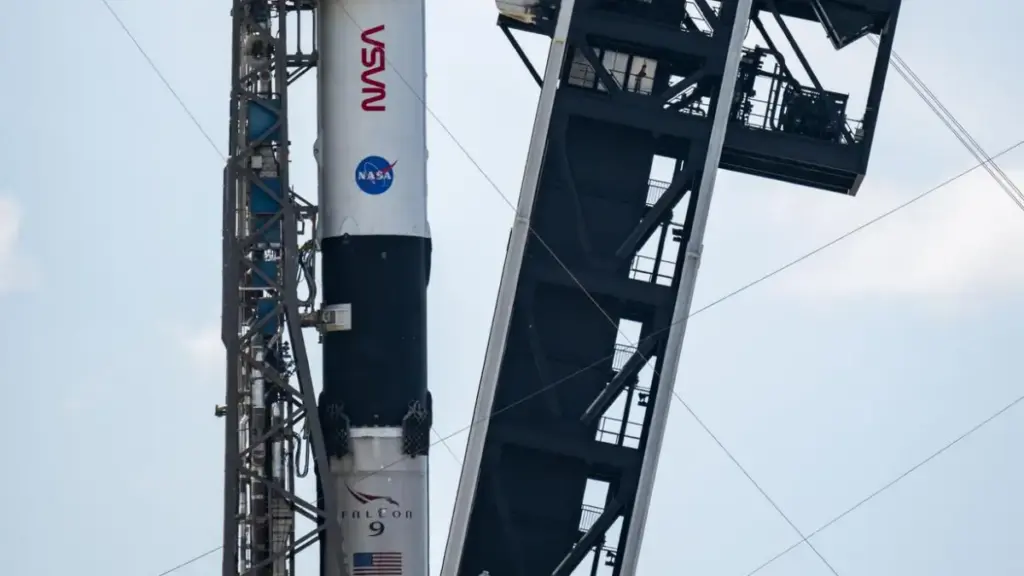 NASA та SpaceX готують місію CRS-35 із дослідженнями мозку та рослин на МКС NASA та SpaceX готують місію CRS-35 із дослідженнями мозку та рослин на МКС