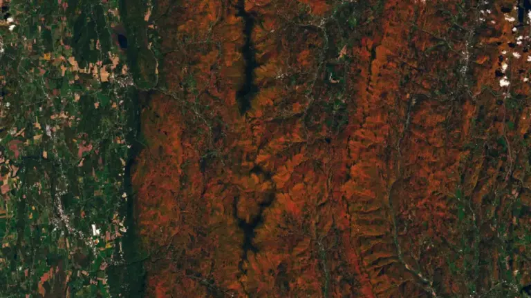 Супутник NASA відстежує зміни кольору осіннього листя з космосу