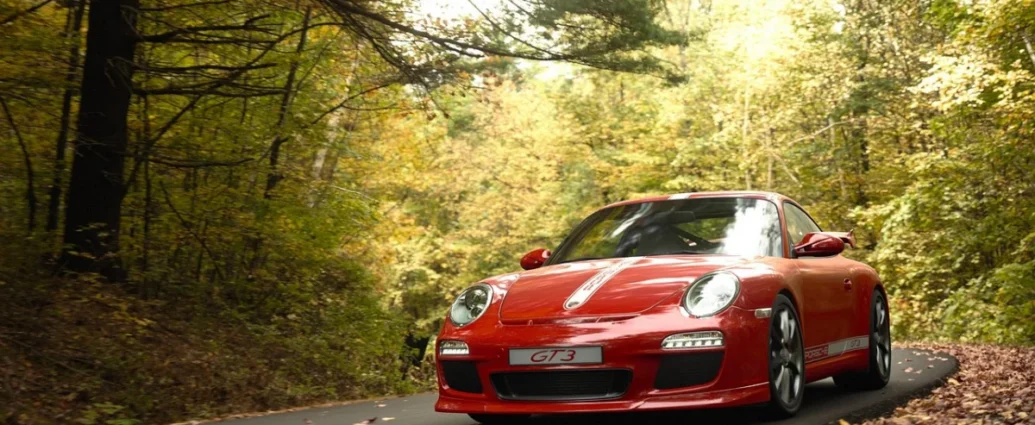 У Франції спіймали водія Porsche 911 на рекордній швидкості 312 км/год